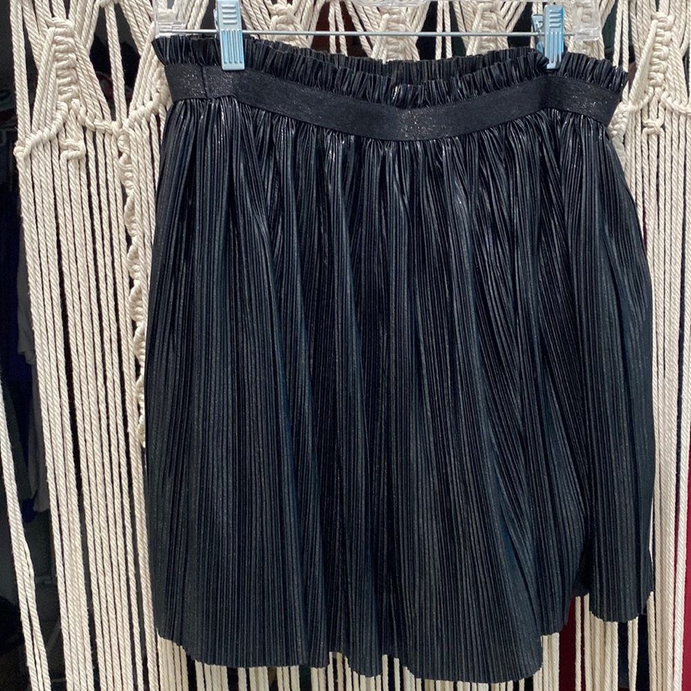 Dressy Skirt